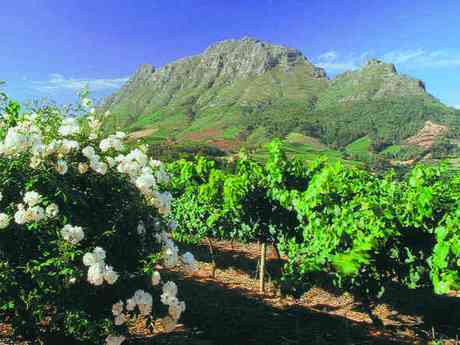 Cape Country Romance